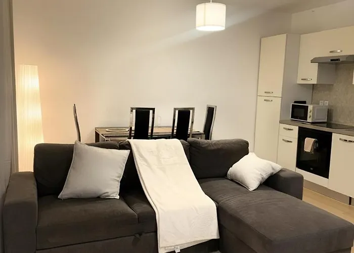 Cosy Au Coeur De Mulhouse